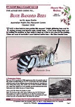 Aussie Bee Online article on native bees