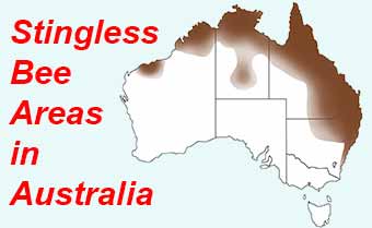 Areas where stingless bees are found in Australia